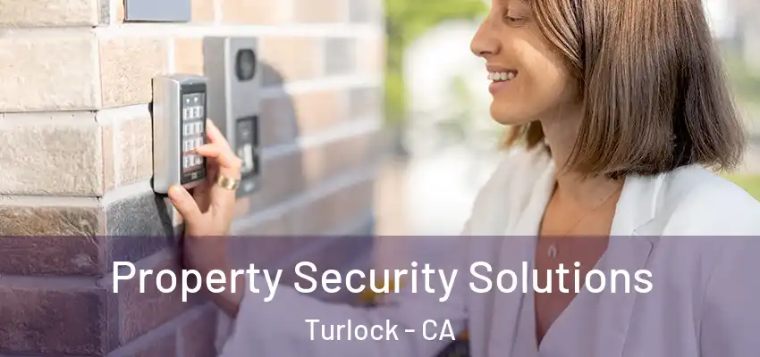  Property Security Solutions Turlock - CA